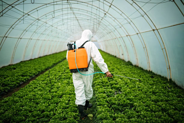 Professional Pest Control in Gilbert, IA