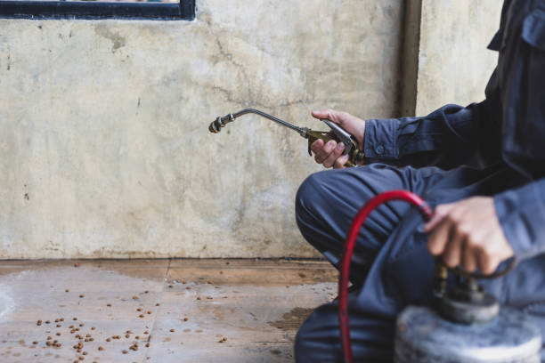 Best Pest Control Near Me  in Gilbert, IA